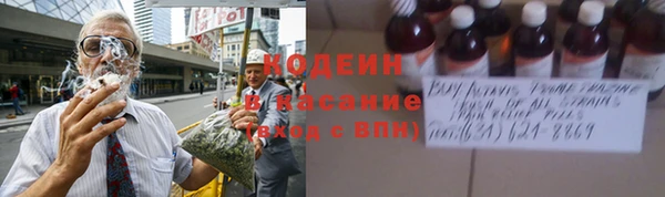 дурь Магас