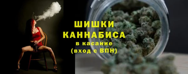 дурь Магас