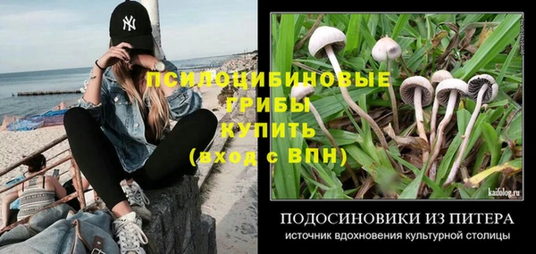 МДПВ Магадан