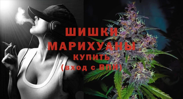 дурь Магас