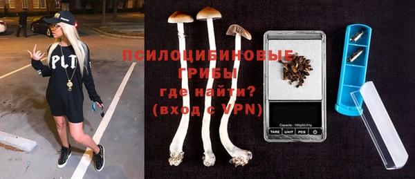 дурь Магас