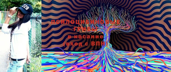 меф Майский