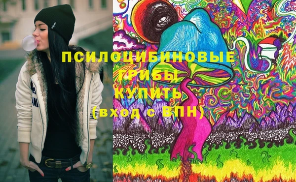 дурь Магас