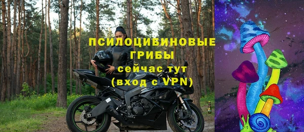 дурь Магас