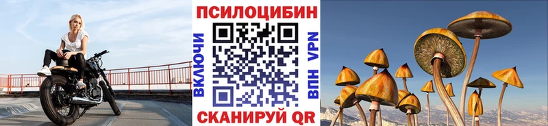 купить наркотики цена  МЕГА ссылки  Галлюциногенные грибы мицелий  Чулым 